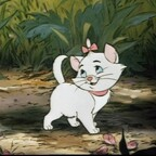 cque_b profile picture