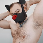 mikeypup avatar