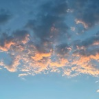 u160800781 profile picture